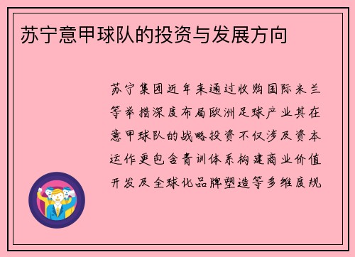 苏宁意甲球队的投资与发展方向